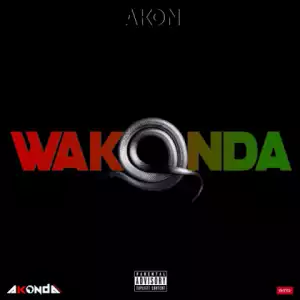 Akon - Wakanda (Joanna Remix)